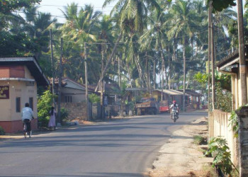 Берувела, Шри-Ланка, фото № 50736 – фотографии Шри-Ланки