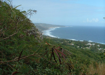 Природа  на Восточном побережье, Барбадос. Фото 1 – фотографии Барбадоса