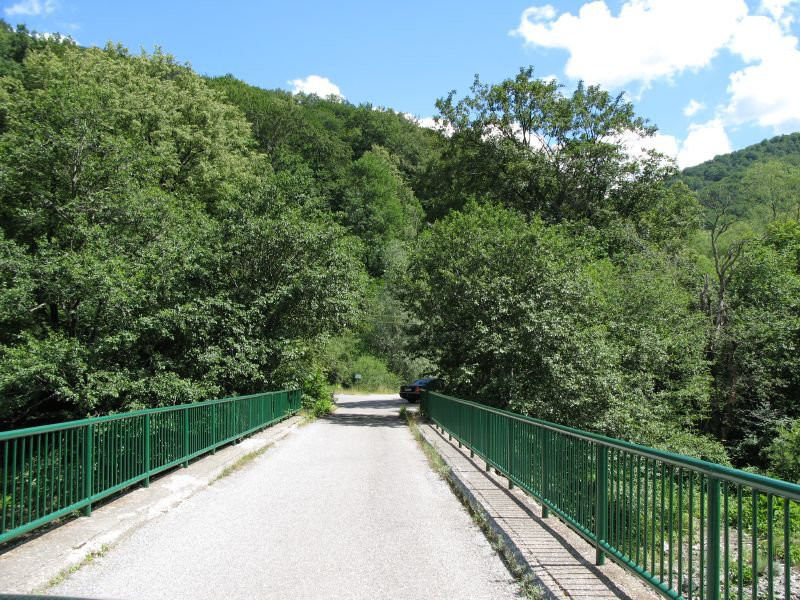 Мост в Национальном парке, Черногория – фотографии Черногории