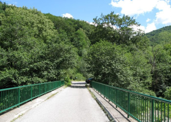 Мост в Национальном парке, Черногория – фотографии Черногории