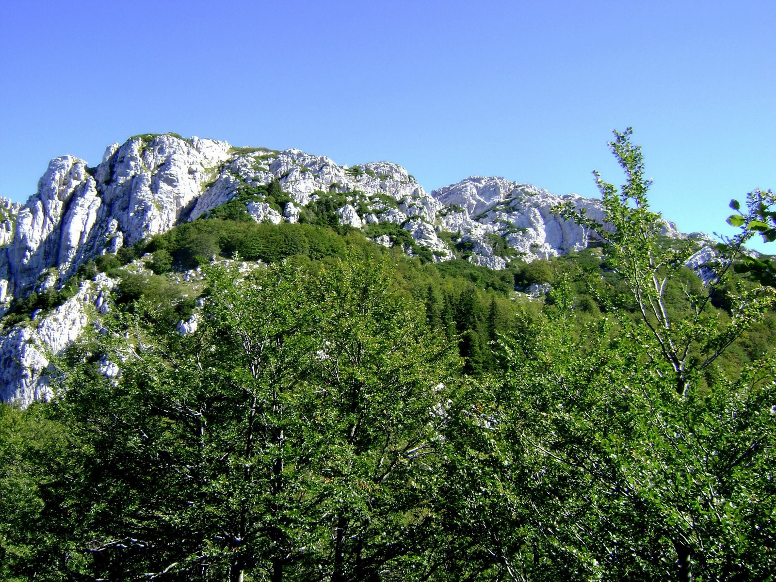 Природа Национального парка, Хорватия. Фото 13 – фотографии Хорватии