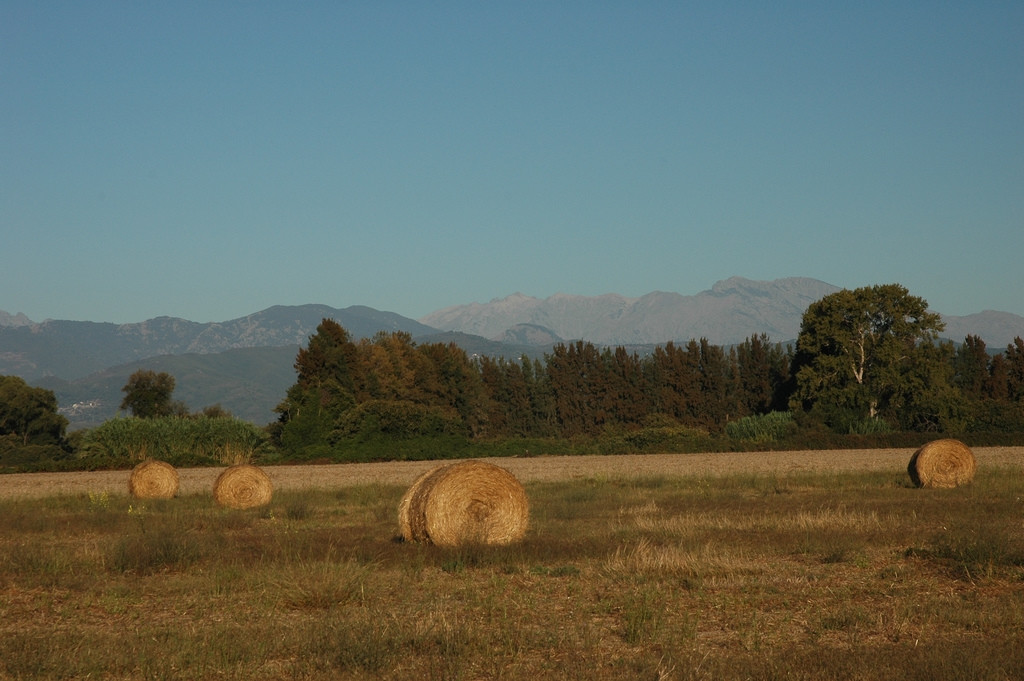 Поле в Алериа, Франция – фотографии Франции