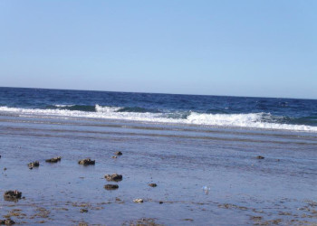 Сафага, Египет, фото № 35384 – фотографии Египта