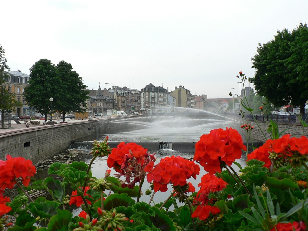 Цветы в Бельфоре, Франция – фотографии Франции