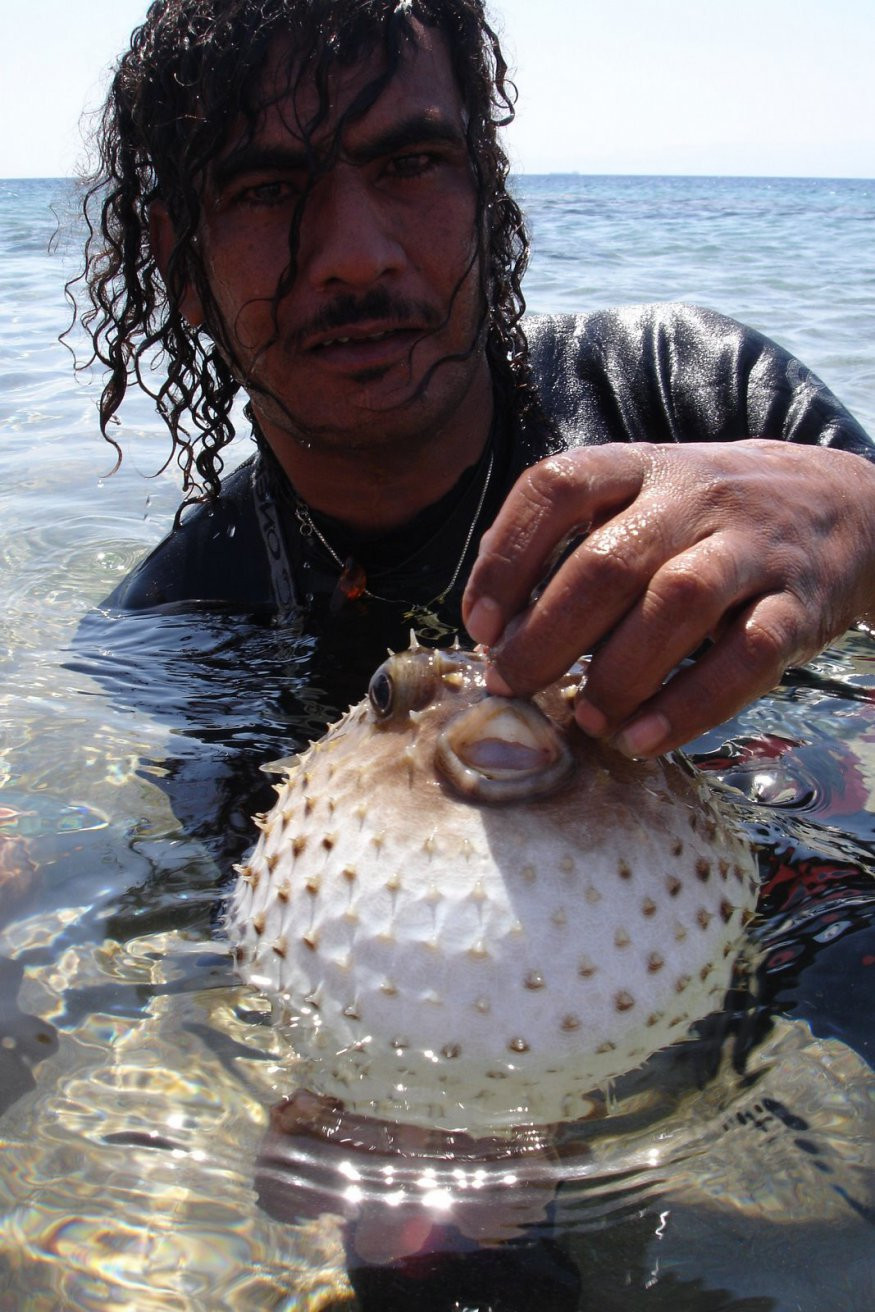 Акаба, Иордания, фото № 36109 – фотографии Иордании