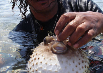 Акаба, Иордания, фото № 36109 – фотографии Иордании