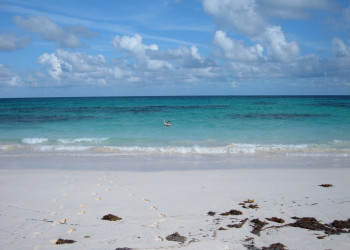 Пляж на острове Эльютера, Багамские острова. Фото 26 – фотографии Багамских островов