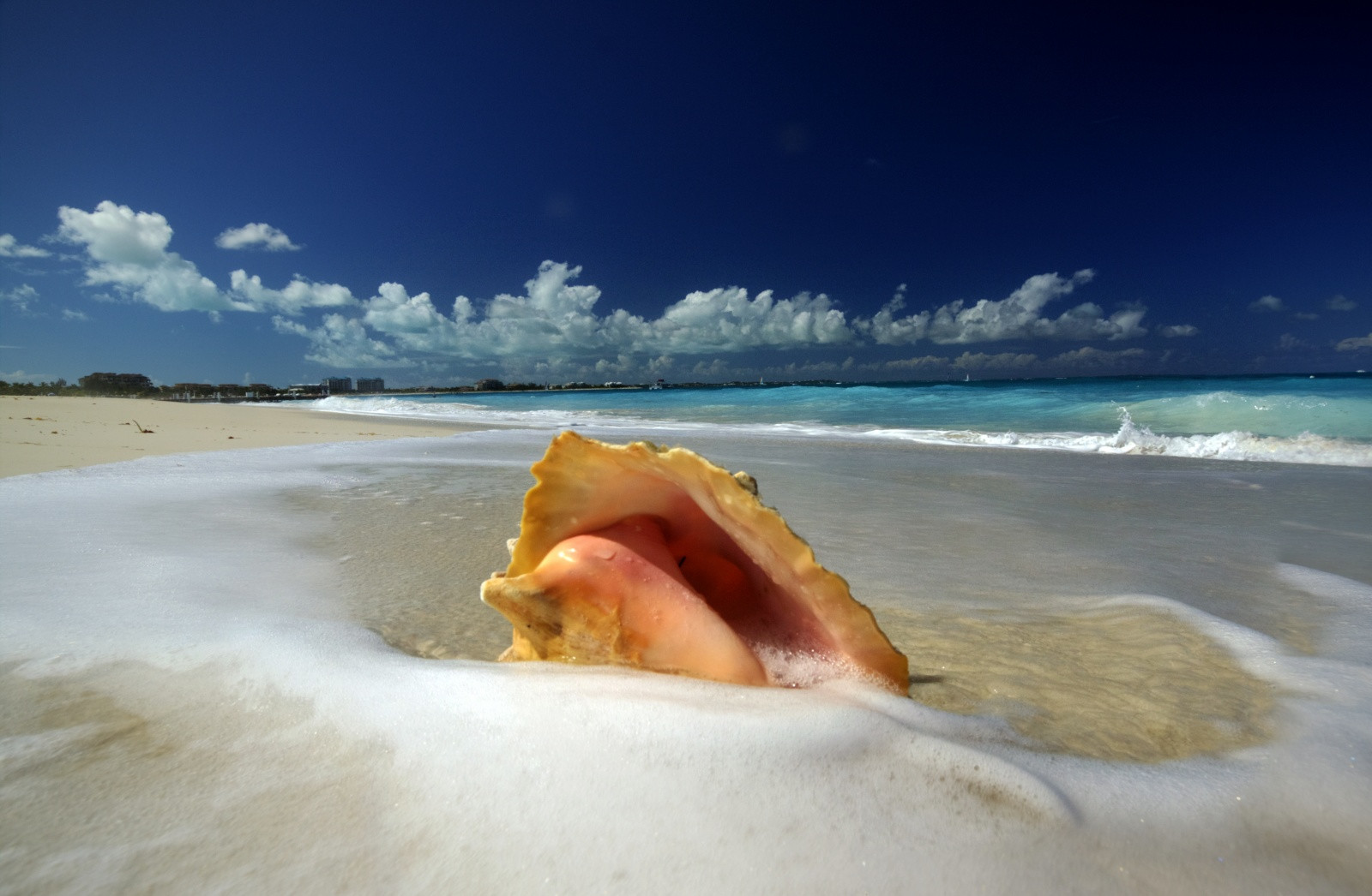 Провиденсиалес (Providenciales) или Прово – фотографии Тёркс и Кайкос