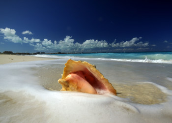 Провиденсиалес (Providenciales) или Прово – фотографии Тёркс и Кайкос