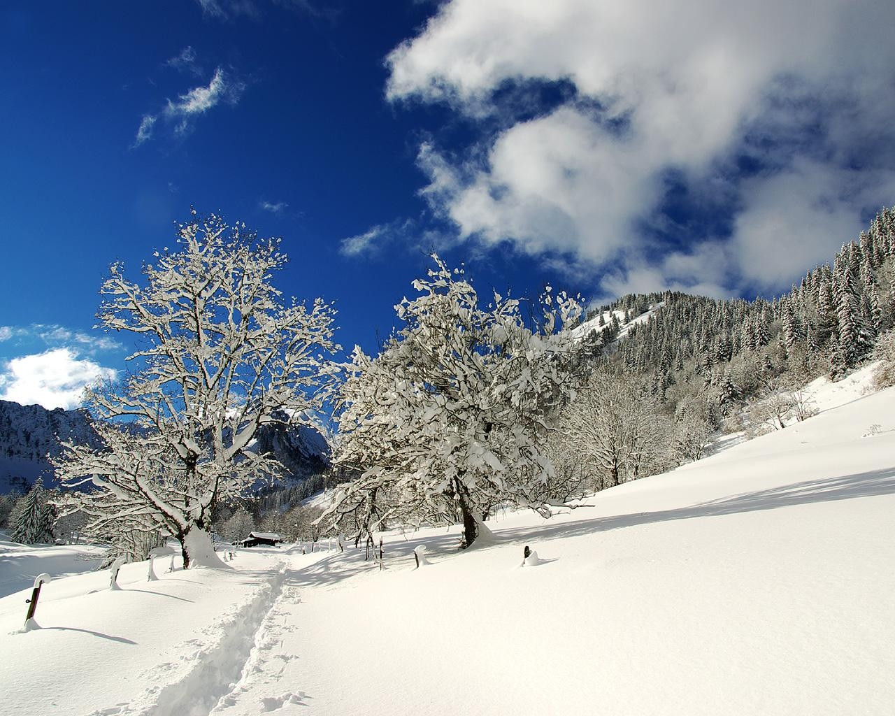 Зима в Сэн-Жан-Д'Ольп, Франция – фотографии Франции
