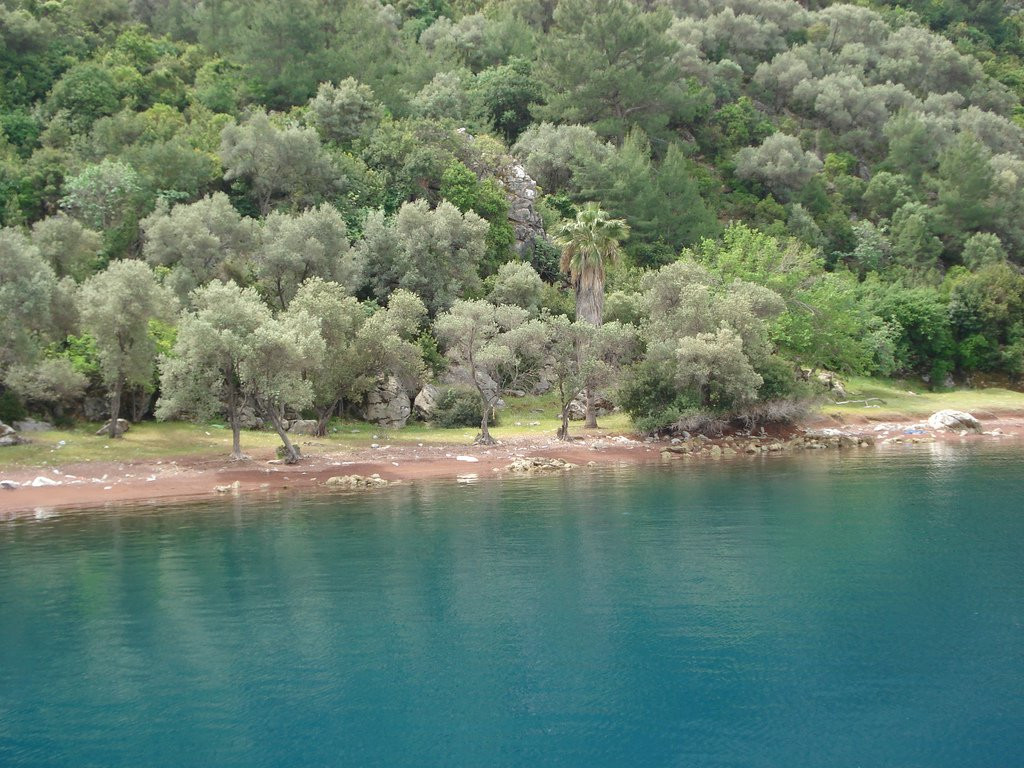 Мармарис, Эгейский регион, Турция, фото № 48031 – фотографии Турции