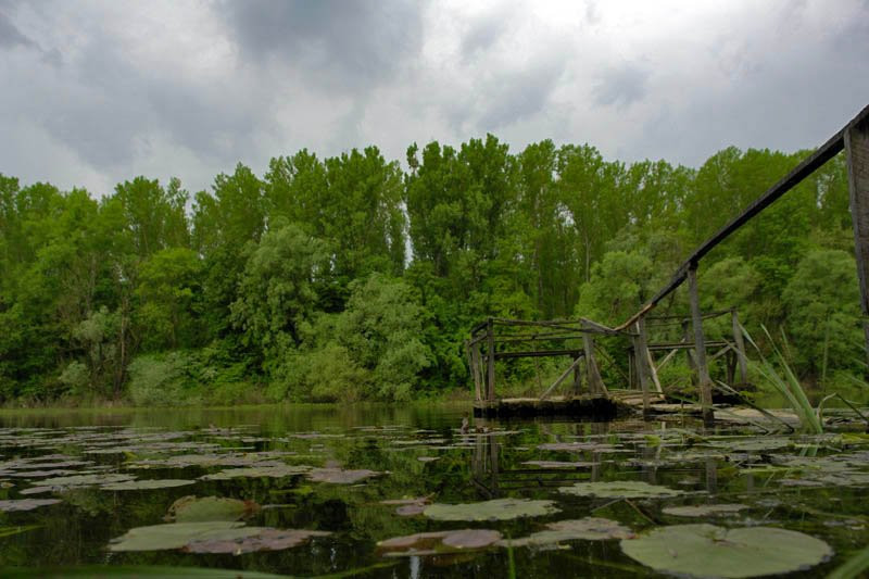 Природный парк, Хорватия. Фото 1 – фотографии Хорватии