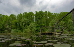 Природный парк, Хорватия. Фото 1 – фотографии Хорватии