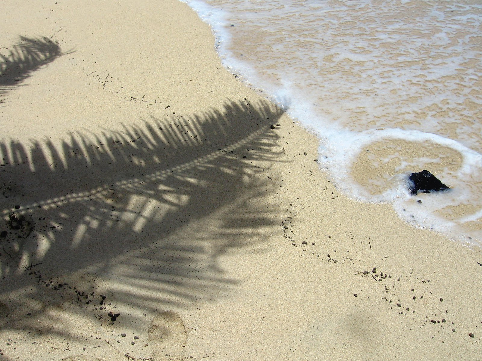 Дравуни остров, Кадаву группа островов, Фиджи, фото № 48568 – фотографии Фиджи