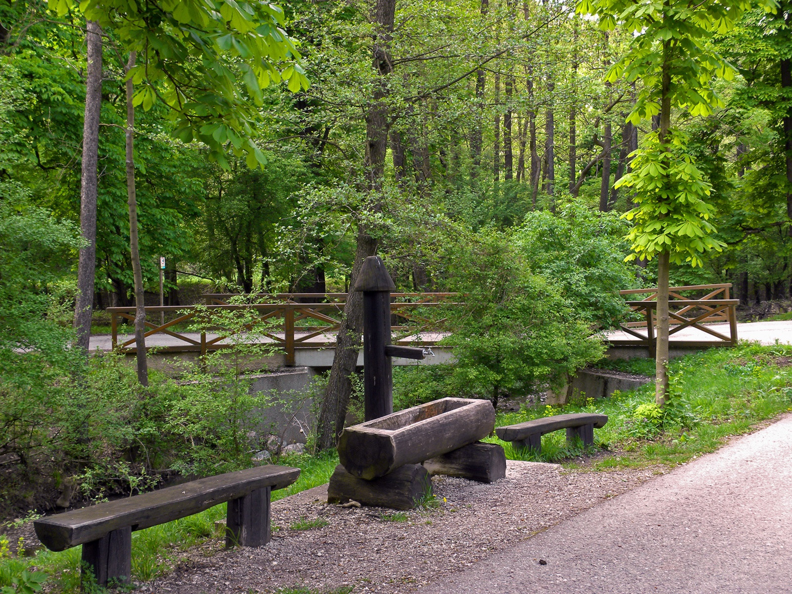Венский лес в пригороде Вены – фотографии Австрии