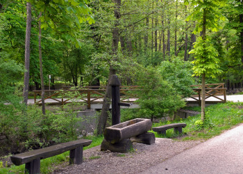 Венский лес в пригороде Вены – фотографии Австрии