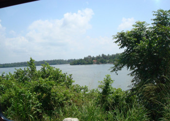 Берувела, Шри-Ланка, фото № 50738 – фотографии Шри-Ланки