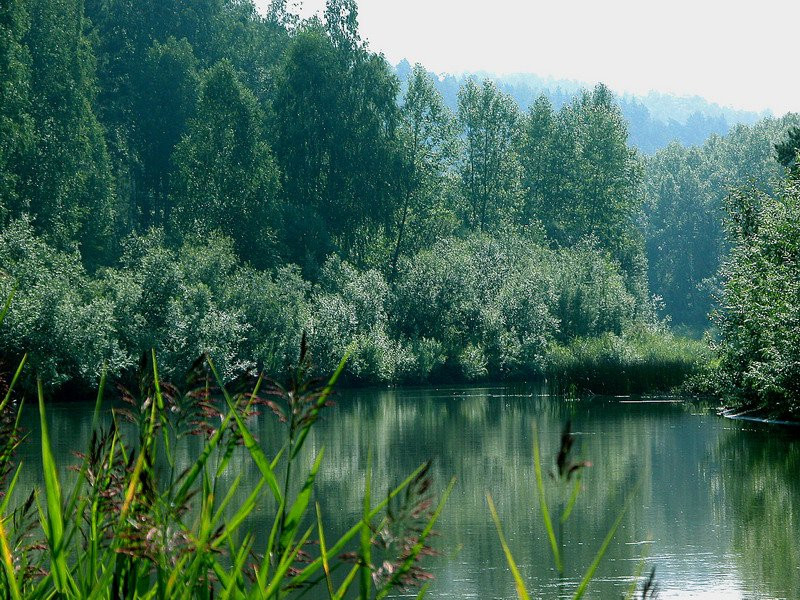 Природа в Бердские скалы, Россия. Фото 3 – фотографии России