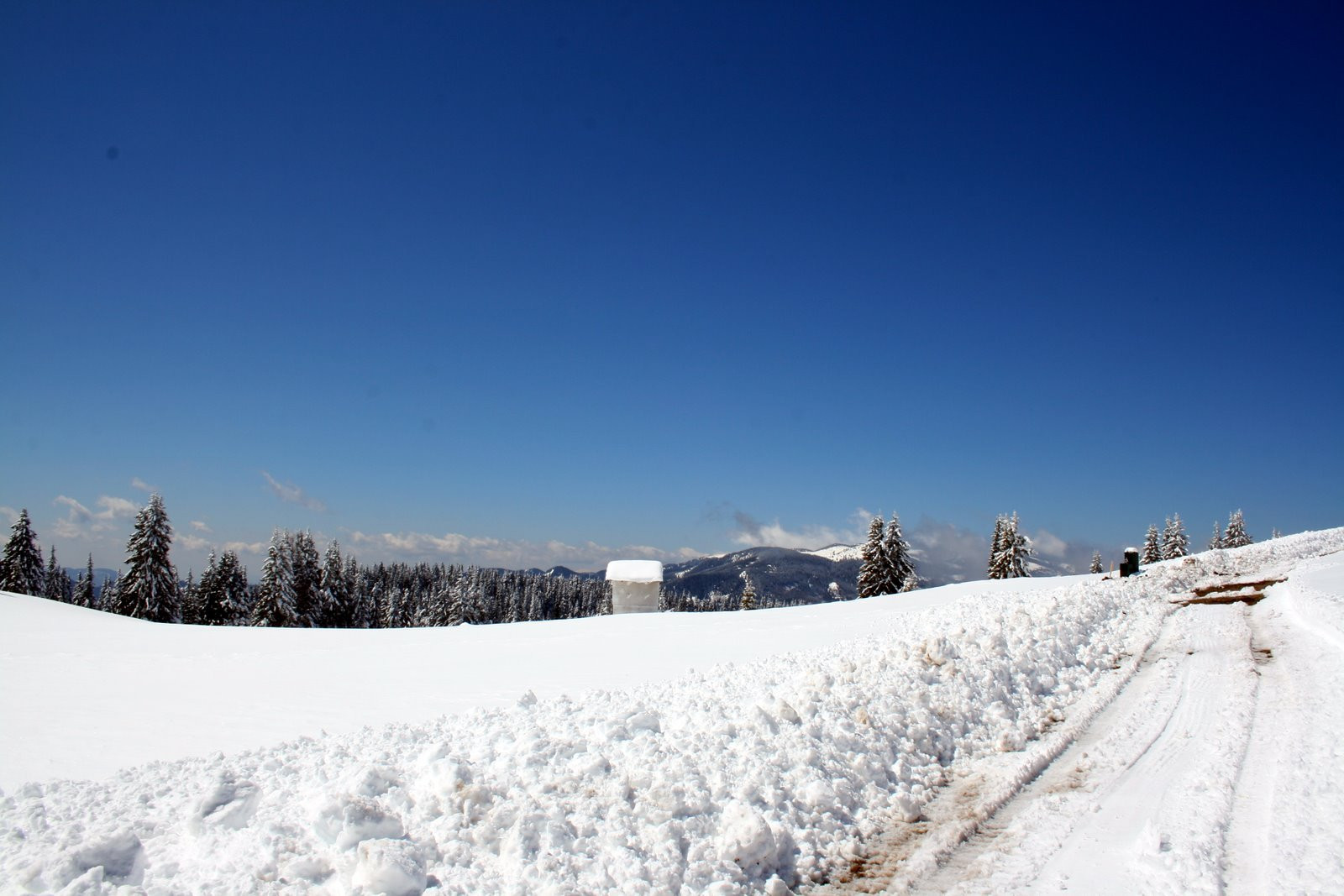 Зима в Пампорово, Болгария. Фото 2 – фотографии Болгарии
