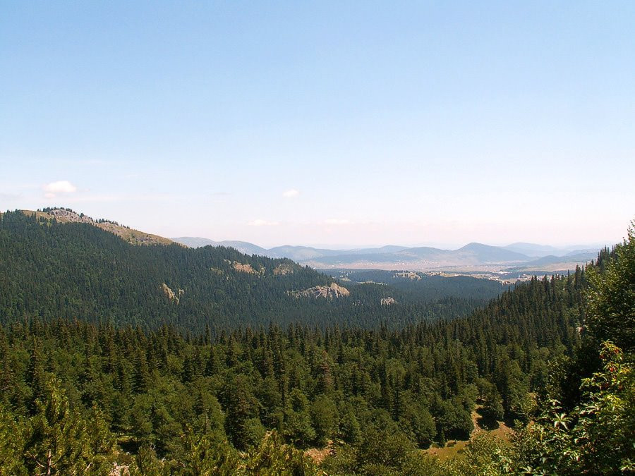 Природа в Дурмитор, Черногория. Фото 32 – фотографии Черногории