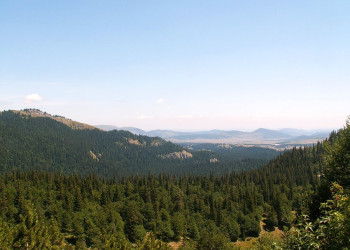 Природа в Дурмитор, Черногория. Фото 32 – фотографии Черногории