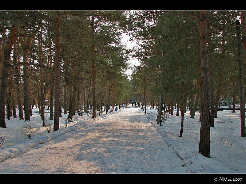 Парк в Шмаковке, Россия. Фото 5 – фотографии России