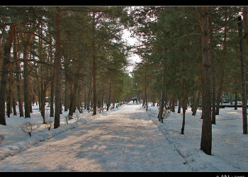 Парк в Шмаковке, Россия. Фото 5 – фотографии России