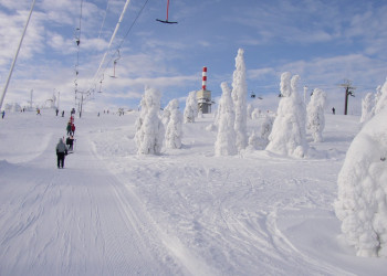 Рука, Финляндия, фото № 74977 – фотографии Финляндии