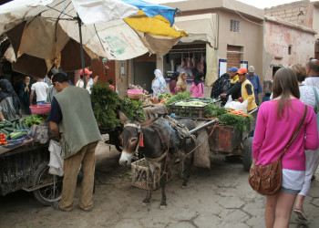 Тарудант, Марокко, фото № 8104 – фотографии Марокко
