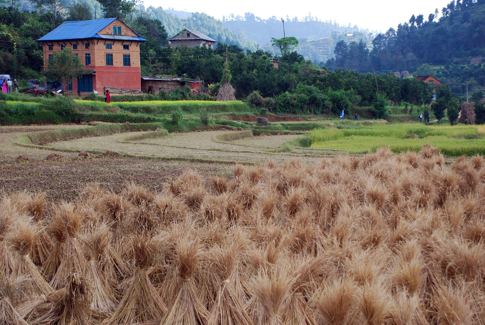 Панаути, Непал, фото № 79305 – фотографии Непала
