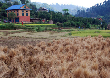 Панаути, Непал, фото № 79305 – фотографии Непала