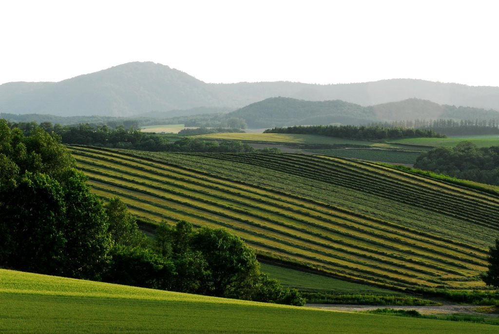 Хоккайдо остров, Хоккайдо регион, Япония, фото № 72736 – фотографии Японии