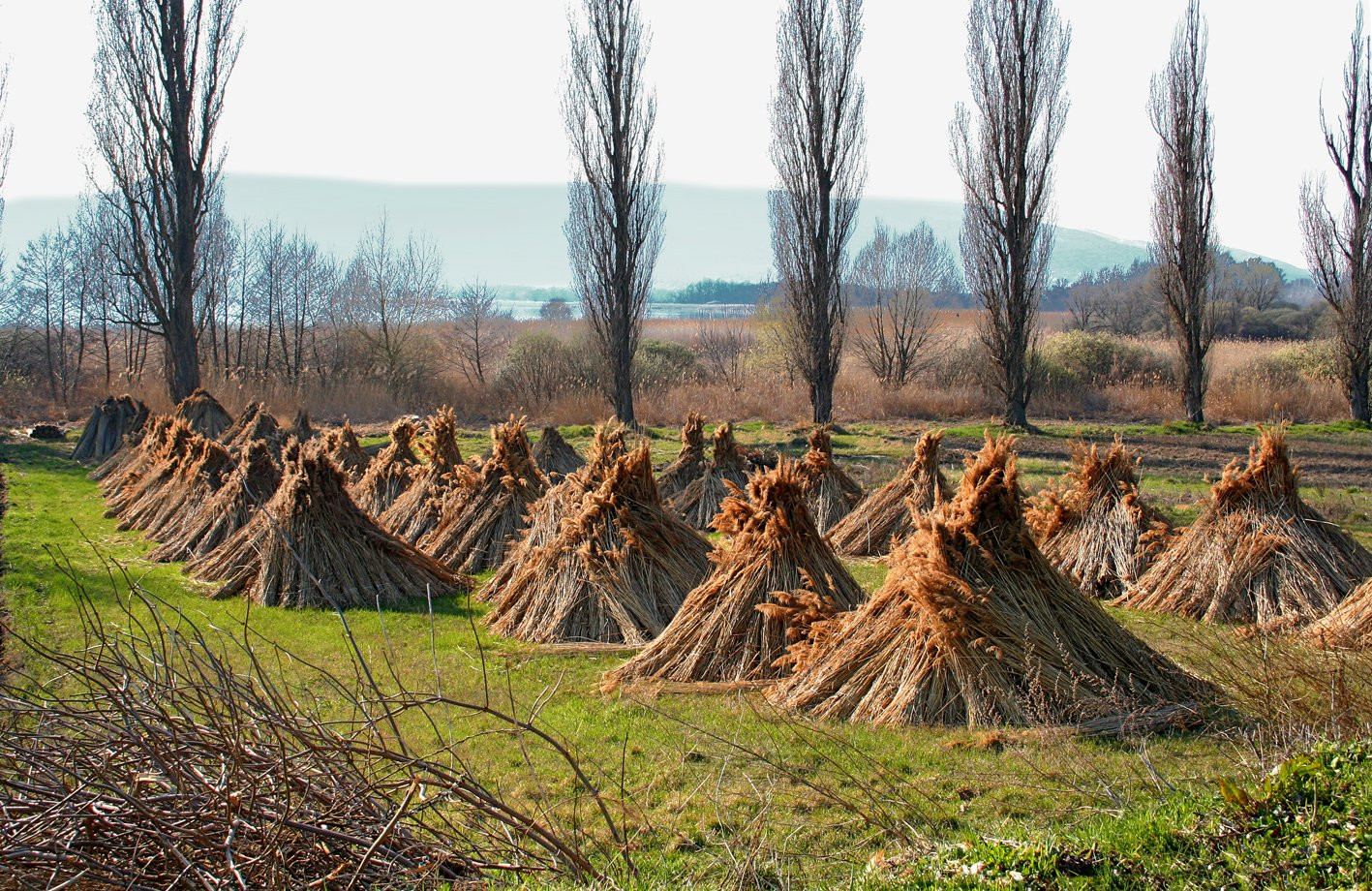 Сиглигет, Балатон озеро, Венгрия, фото № 69879 – фотографии Венгрии
