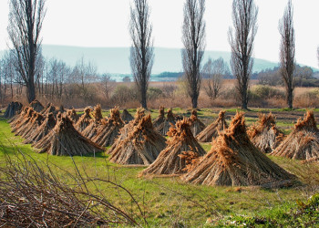 Сиглигет, Балатон озеро, Венгрия, фото № 69879 – фотографии Венгрии