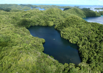 Озеру Медуз на острове Эил-Малк (Eil Malk) – фотографии Палау