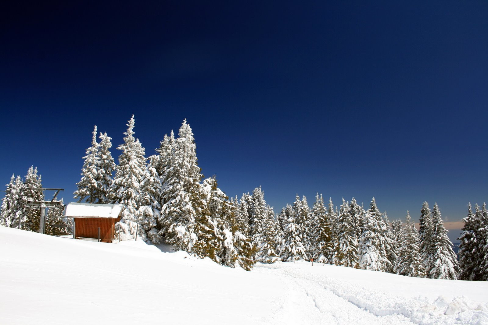 Зима в Пампорово, Болгария – фотографии Болгарии