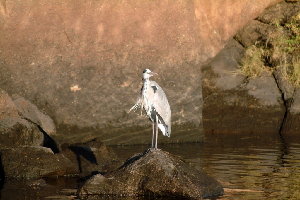 Асуан, Египет, фото № 70387 – фотографии Египта