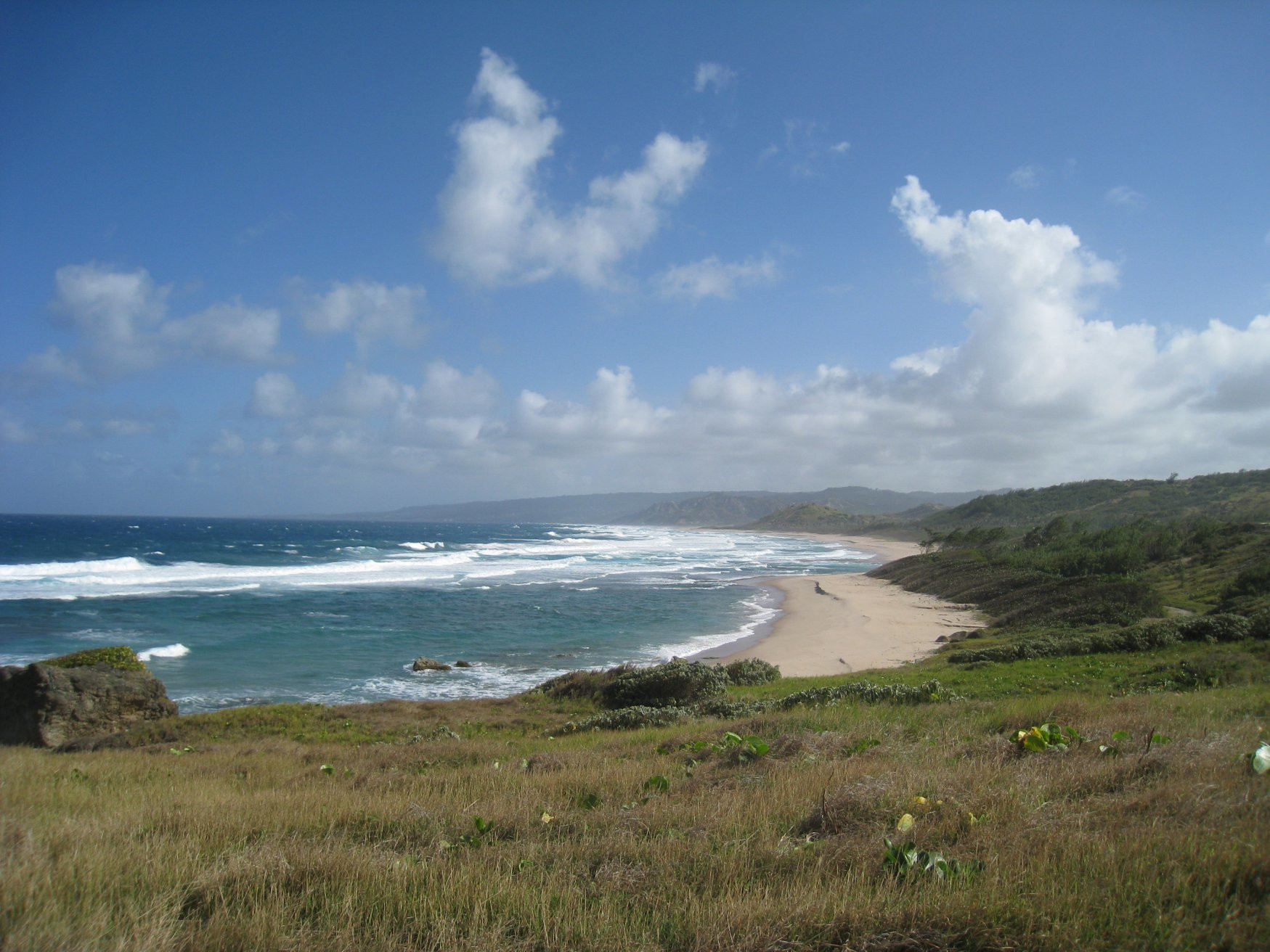 Берега в Барбадосе. Фото 2 – фотографии Барбадоса
