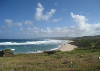 Берега в Барбадосе. Фото 2 – фотографии Барбадоса