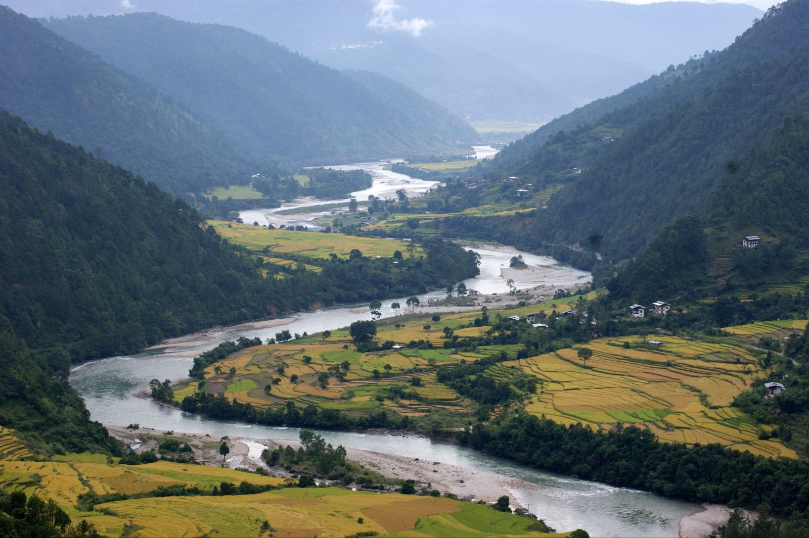 Пунакха, Бутан, фото № 75799 – фотографии Бутана