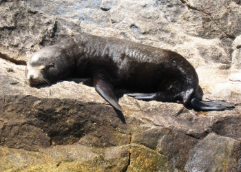 Лос-Кабос, Мексика, фото № 43575 – фотографии Мексики