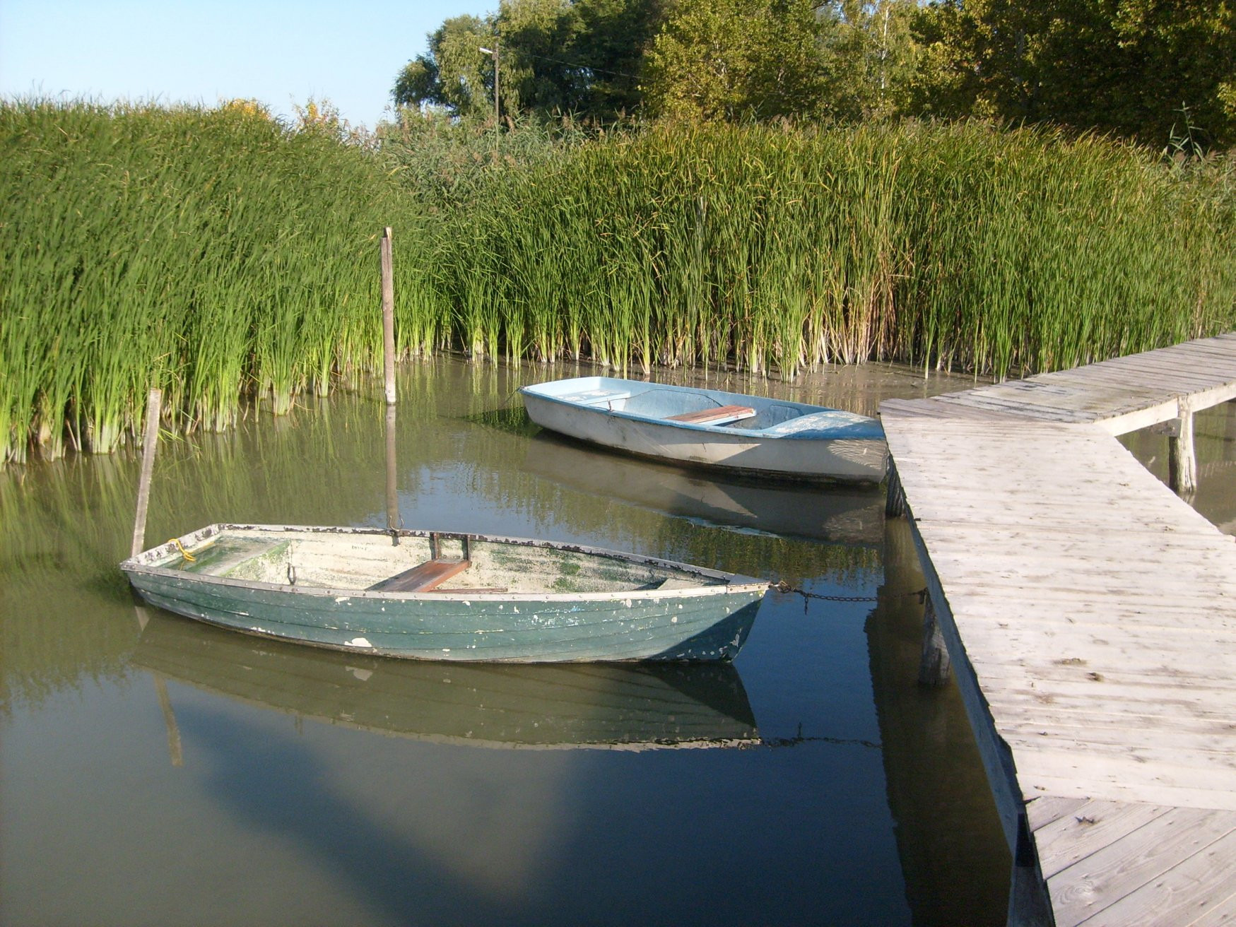 Бадачонь, Балатон озеро, Венгрия, фото № 69713 – фотографии Венгрии