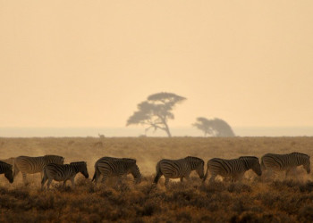 Namibia – фотографии Намибии