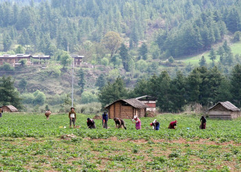 Джакар, Бутан, фото № 75674 – фотографии Бутана