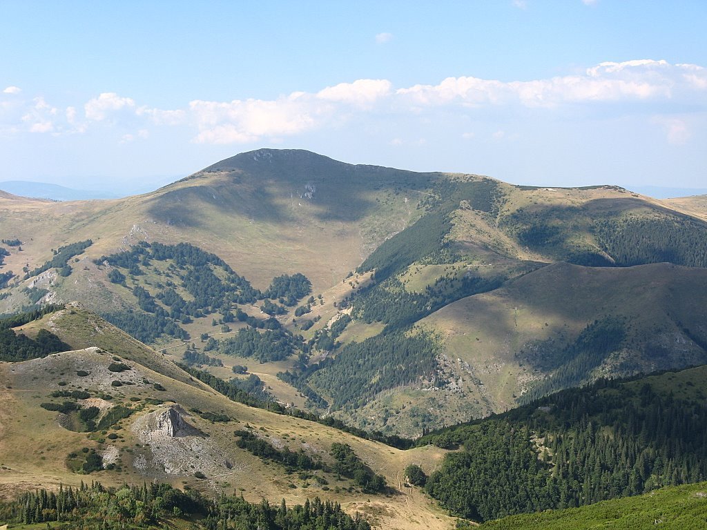 Биоградская гора, Черногория. Фото 5 – фотографии Черногории