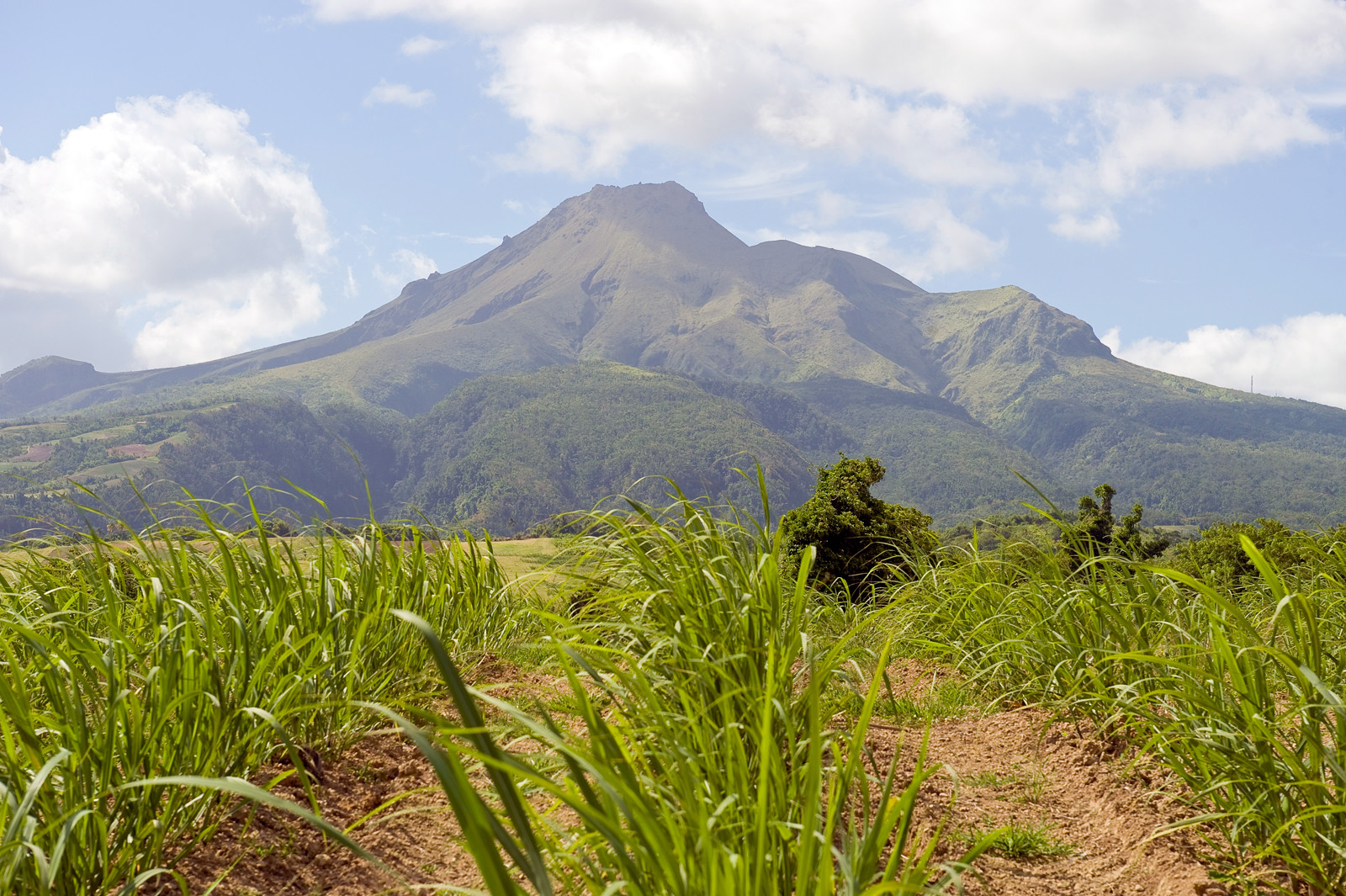 Вулкан Мон-Пеле (La montagne Pelée) на Мартинике – фотографии Мартиники