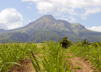 Вулкан Мон-Пеле (La montagne Pelée) на Мартинике – фотографии Мартиники
