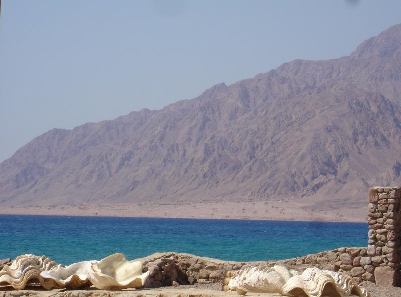 Нувейба, Египет, фото № 35360 – фотографии Египта