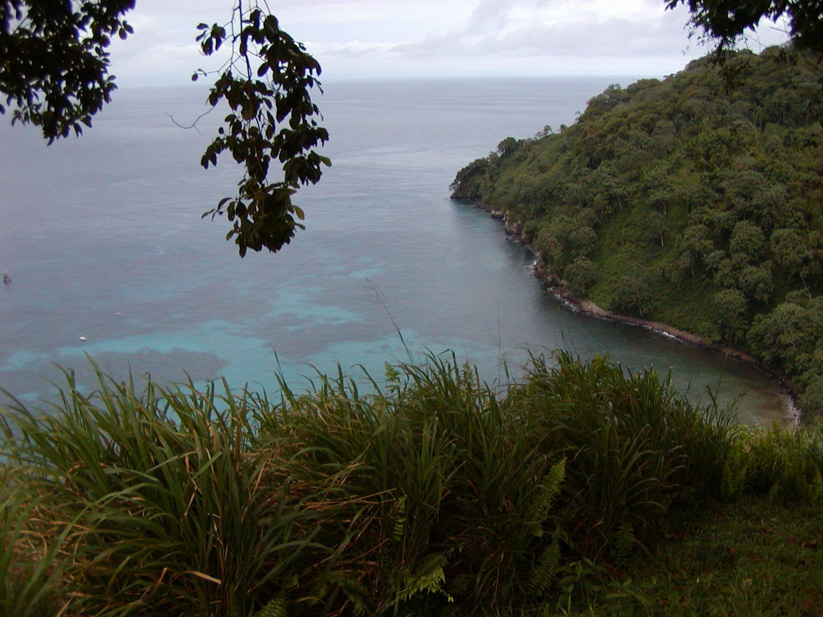 о.Кокос, Пунтаренас провинция, Коста-Рика, фото № 40880 – фотографии Коста-Рики