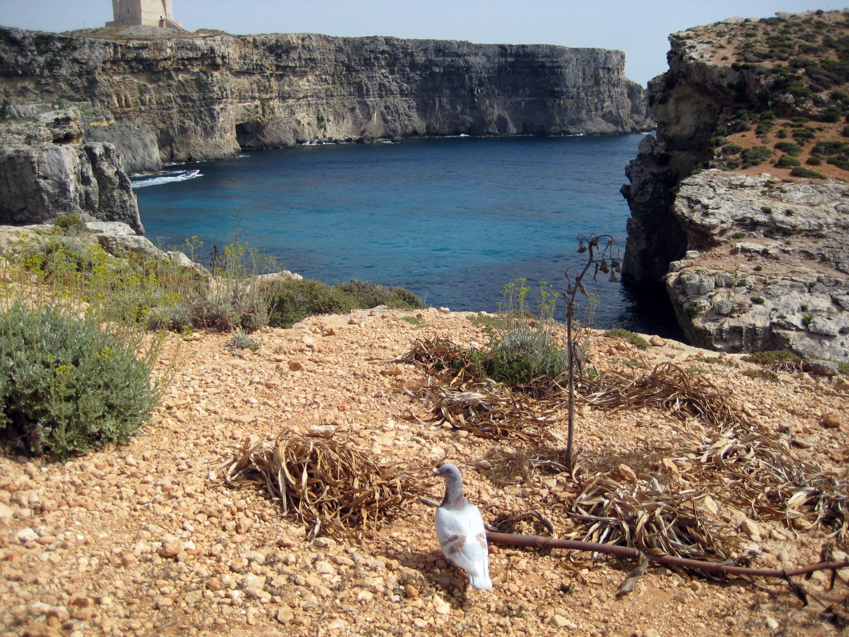 Комино остров, Мальта, фото № 41805 – фотографии Мальты